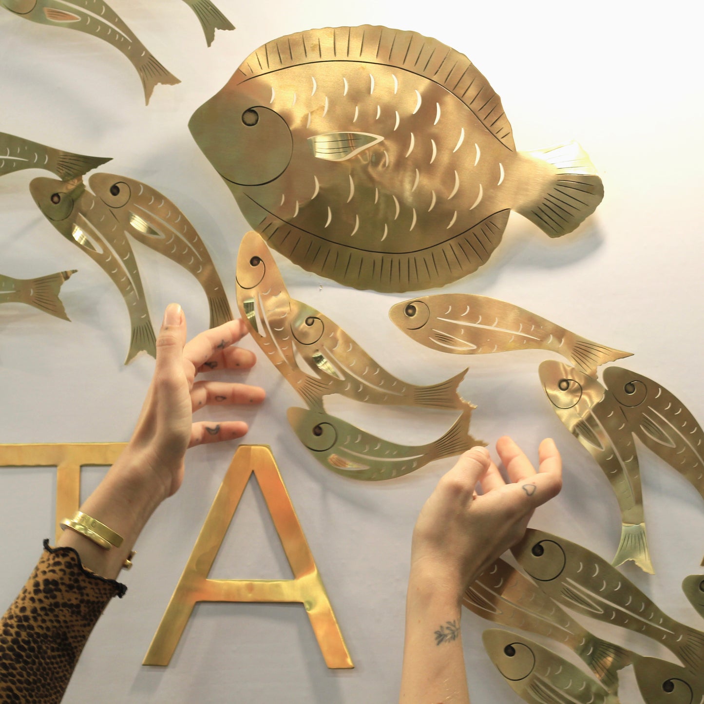 Cardume subindo para parede