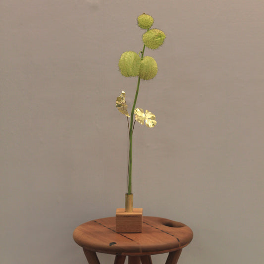 Folha de Vaso Trevo P