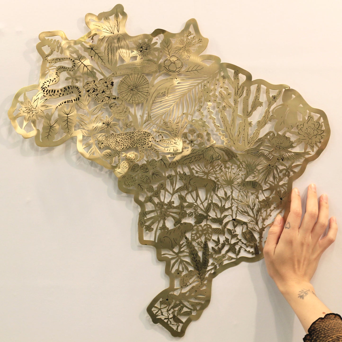 Mapa Brasil Biomas