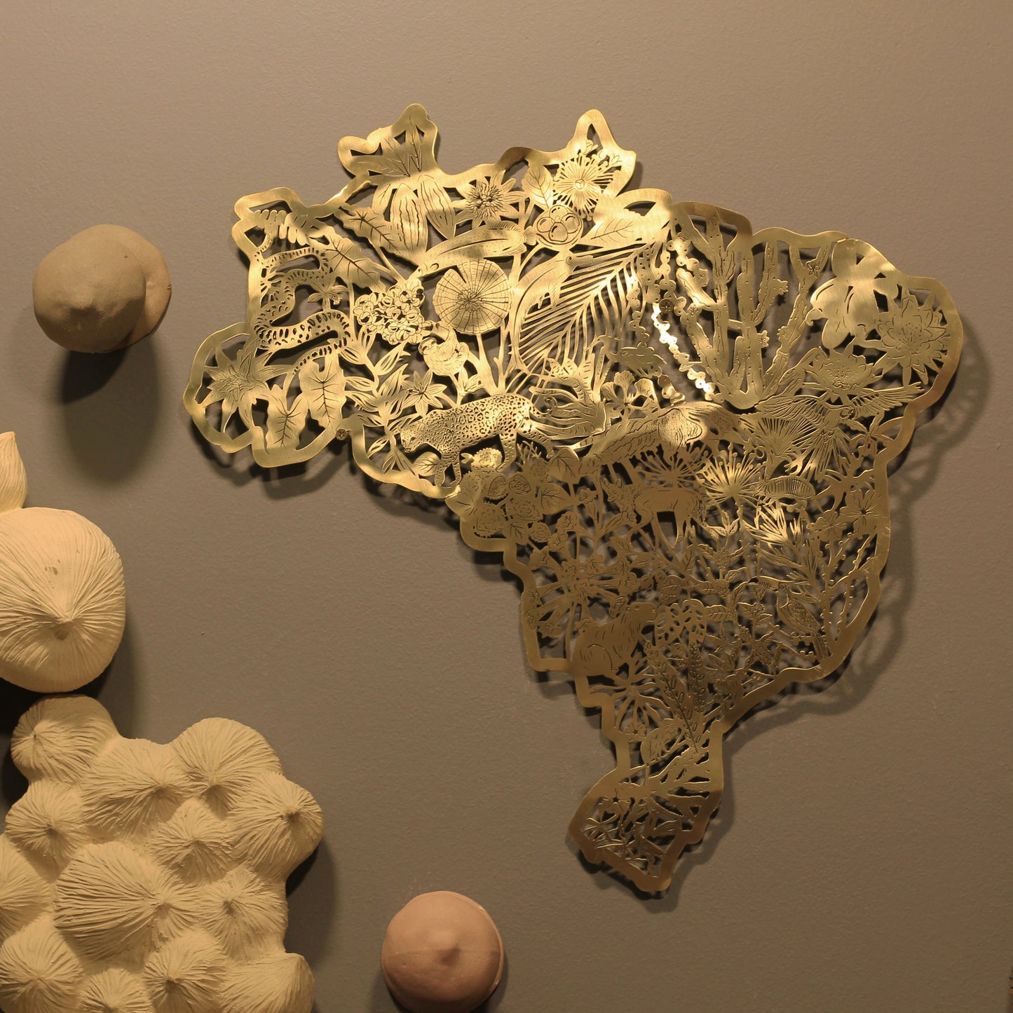Mapa Brasil Biomas