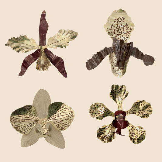 Orquídea Sapato de Vênus de Parede