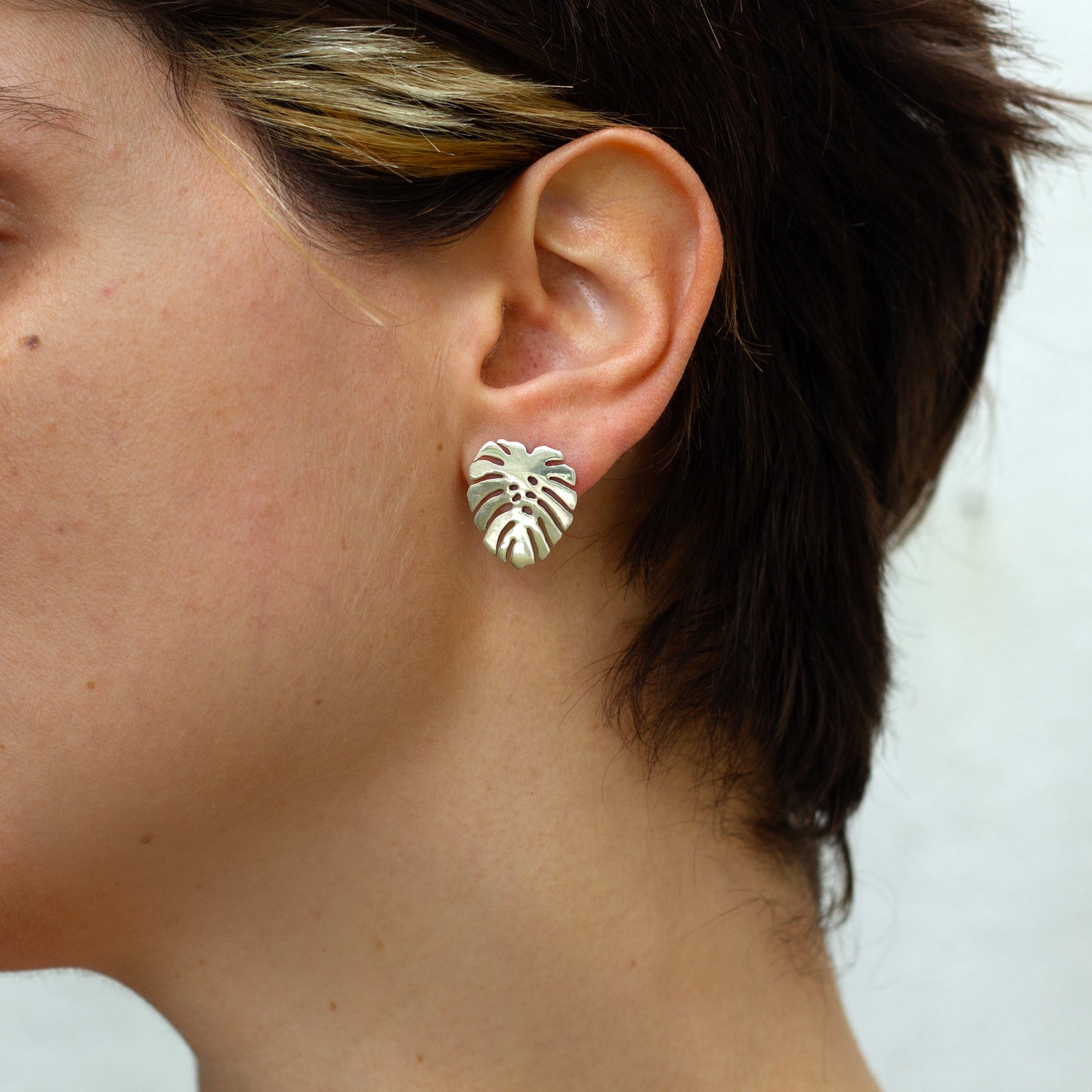 Brinco Costela de Adão com Tarraxa Prata