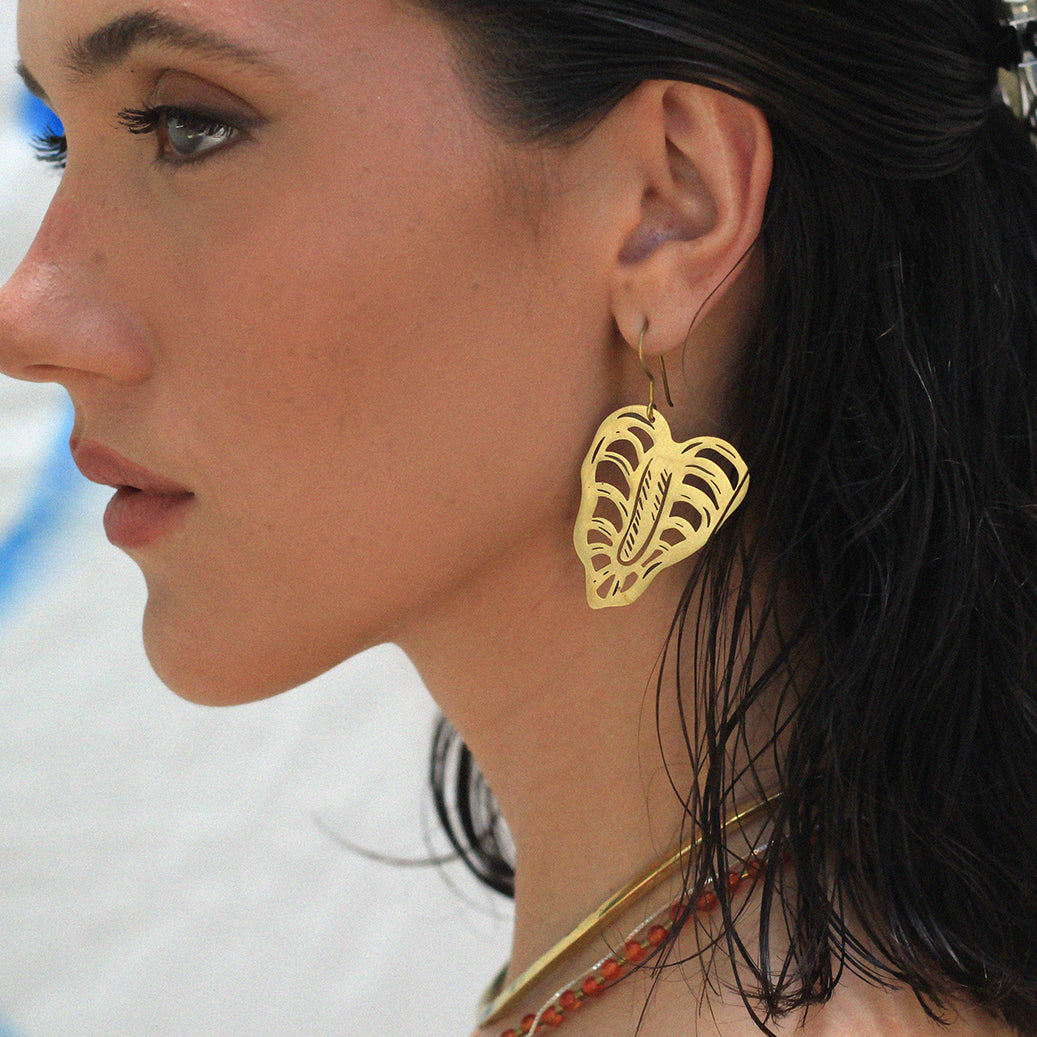 Brinco Antúrio Xilo