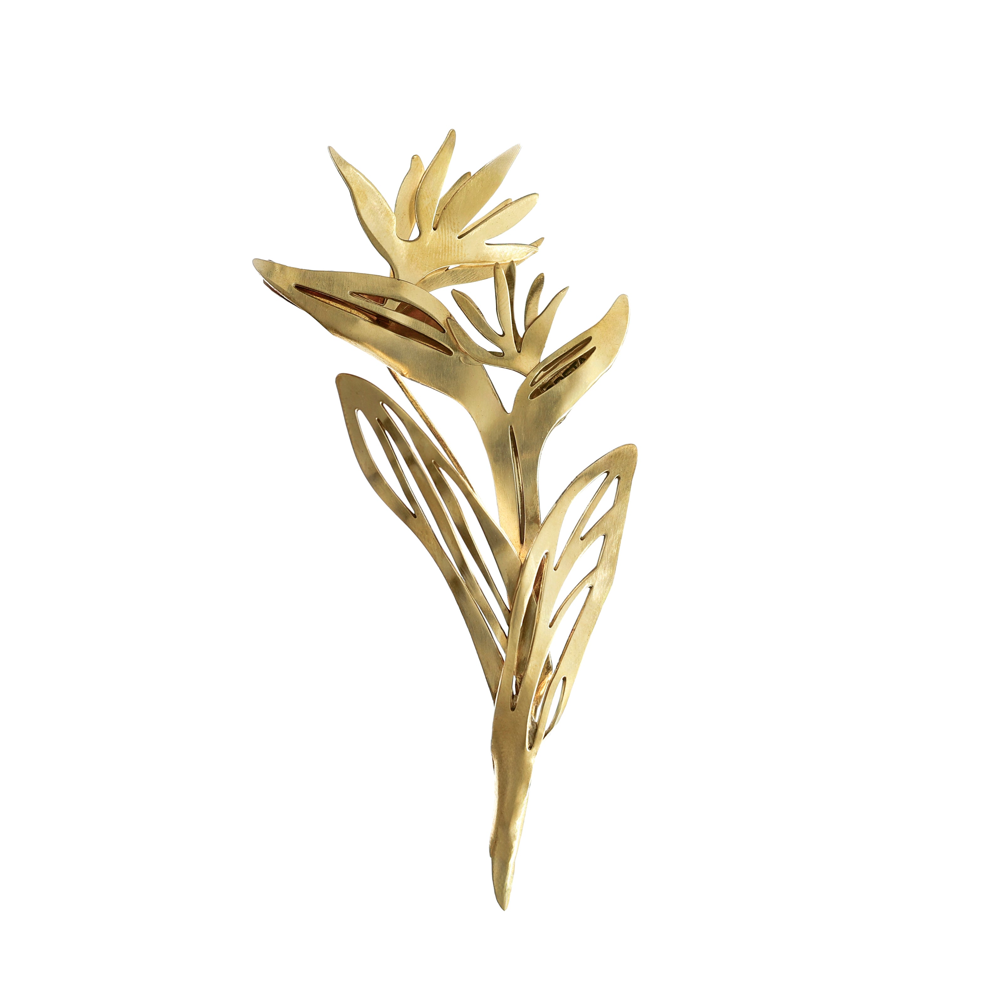 Broche Estrelícia