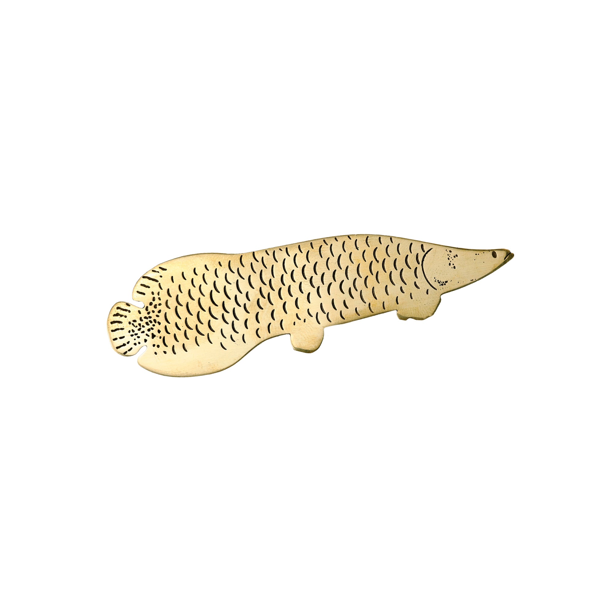 Broche Pirarucu