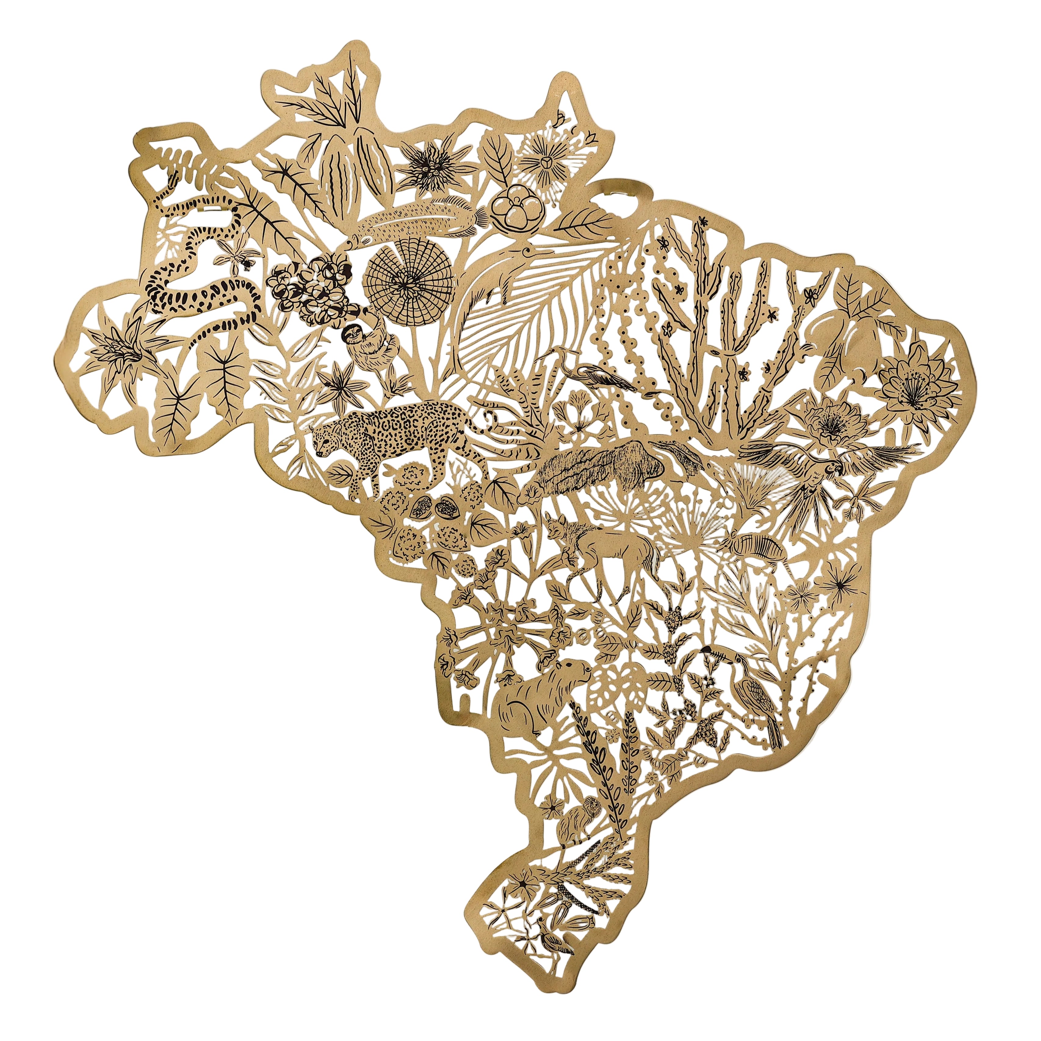 Mapa do Brasil Biomas