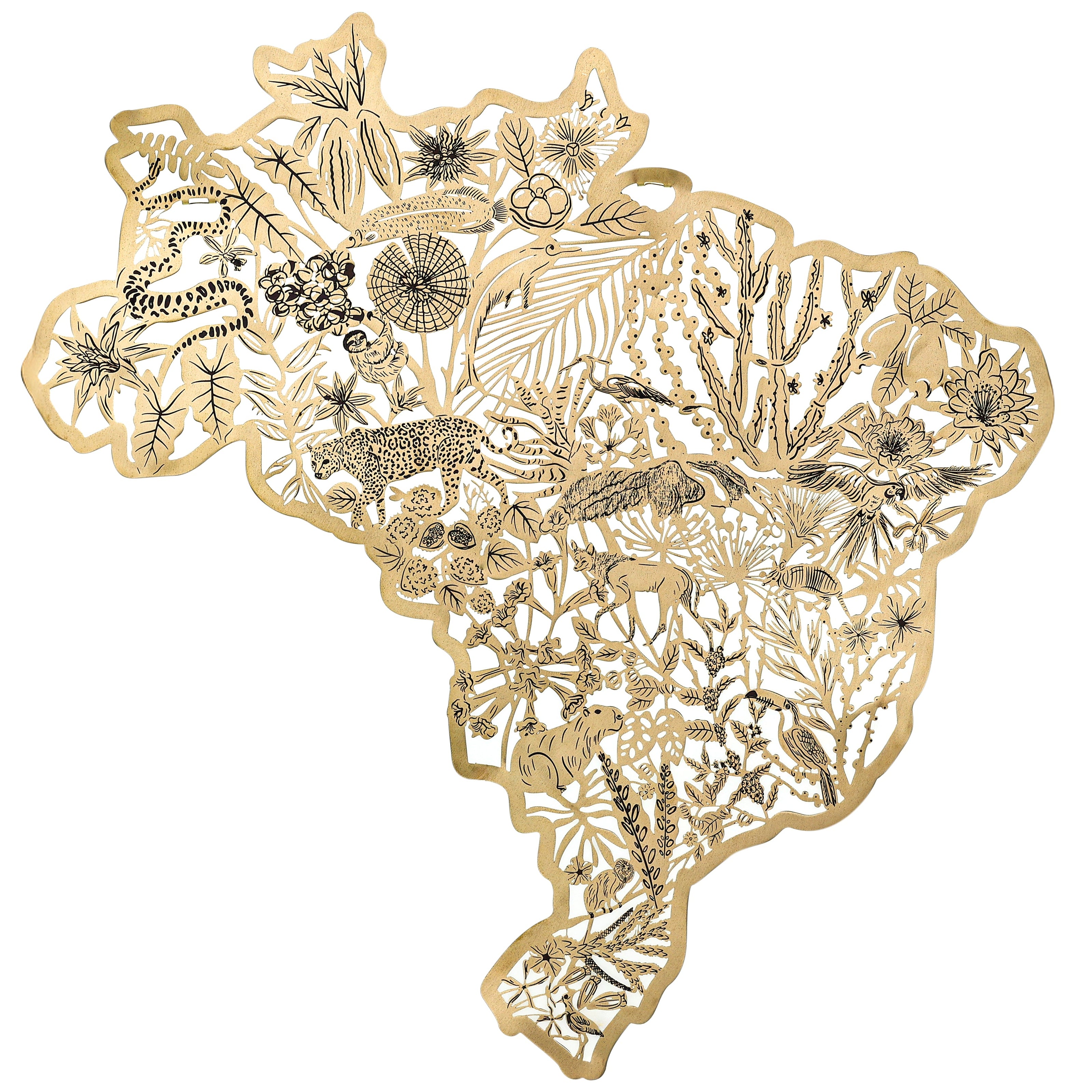 Mapa Brasil Biomas