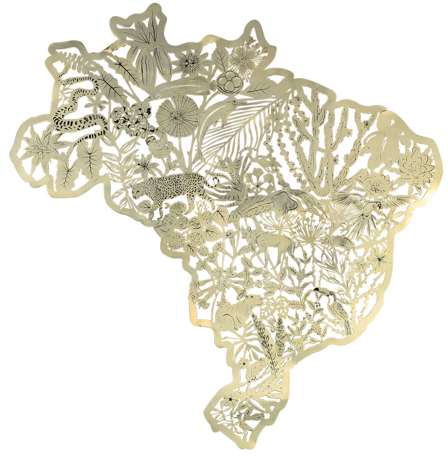 Mapa Brasil Biomas