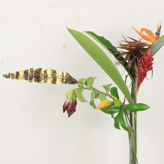 Haste de Vaso Maranta Grande