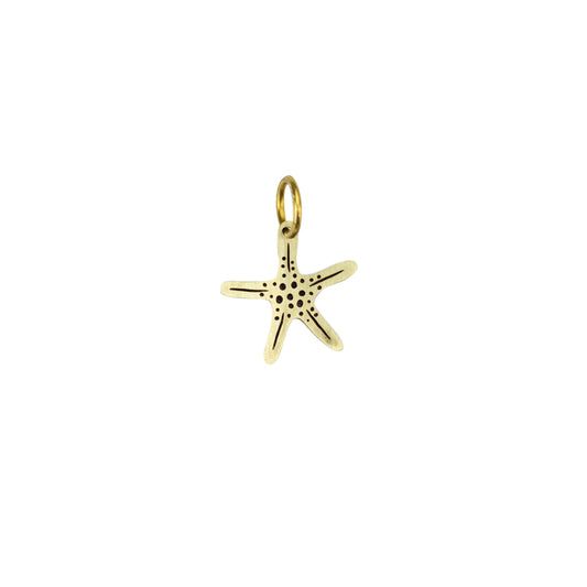 Pingente Estrela do Mar