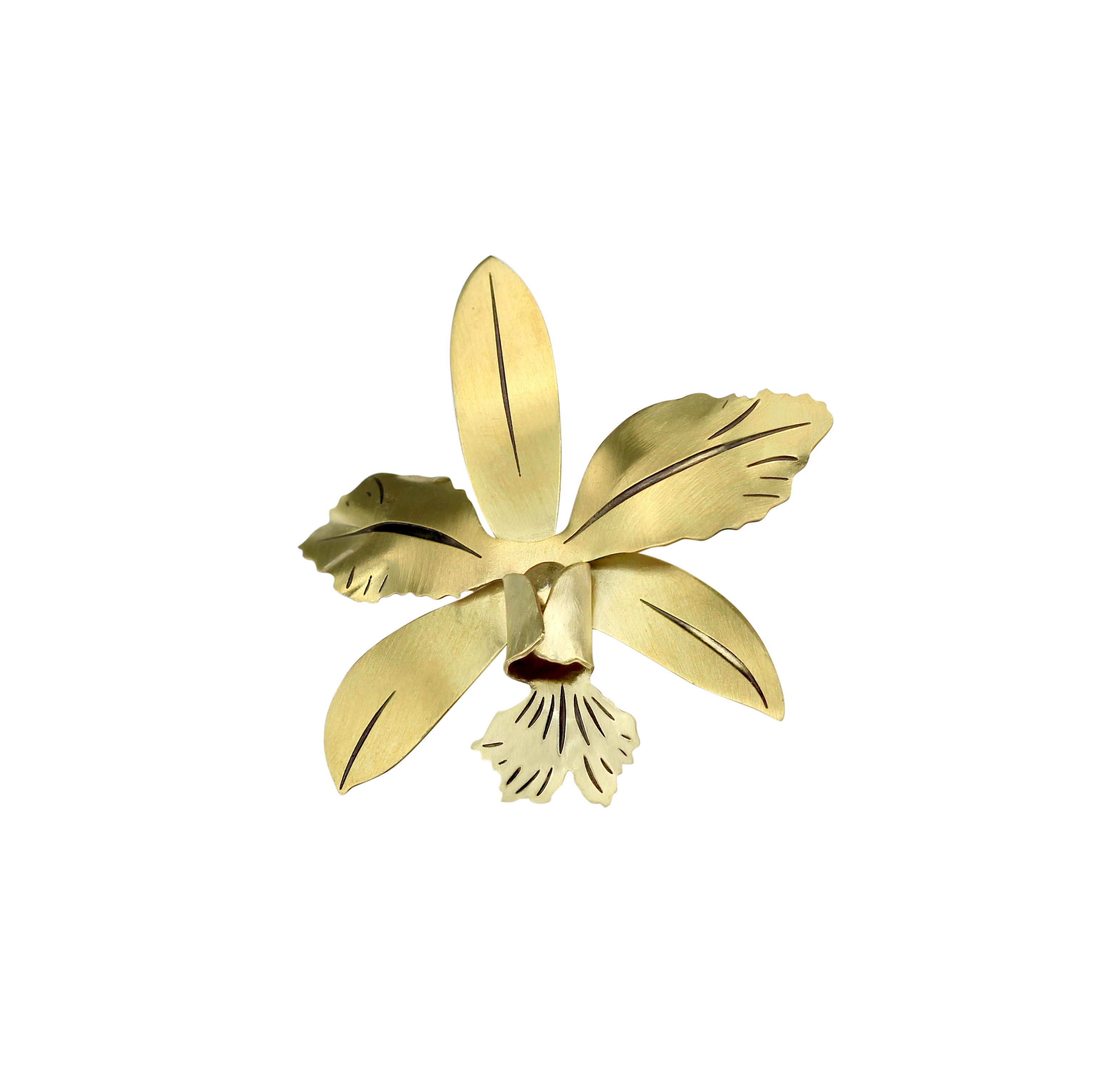 Broche Orquídea