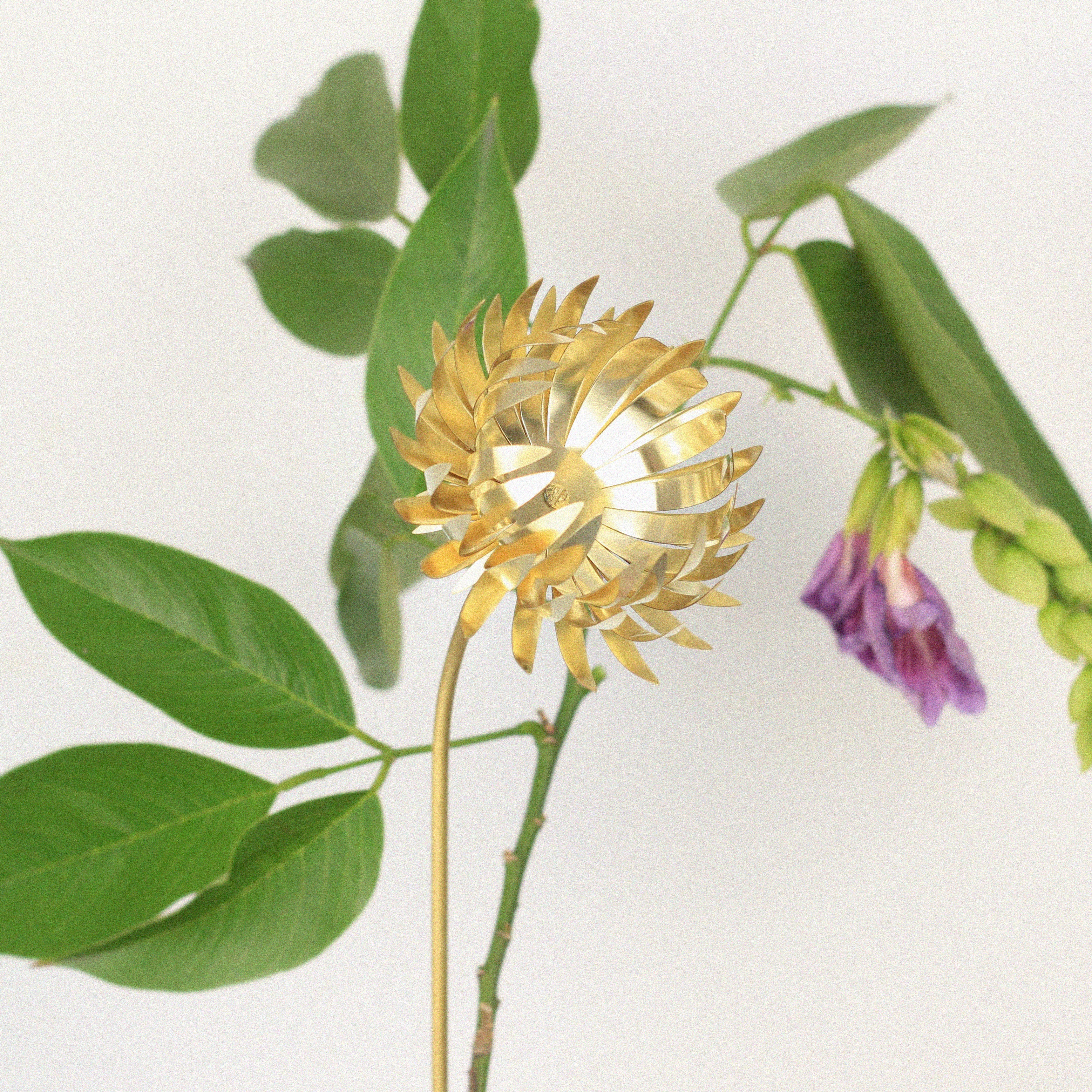 Flor de Vaso Protea P