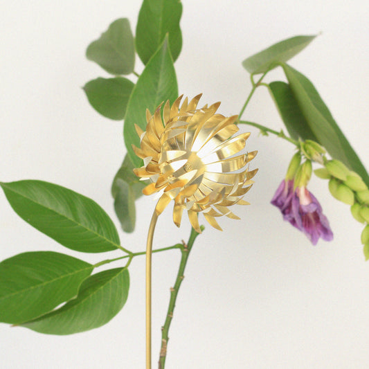 Flor de Vaso Protea P