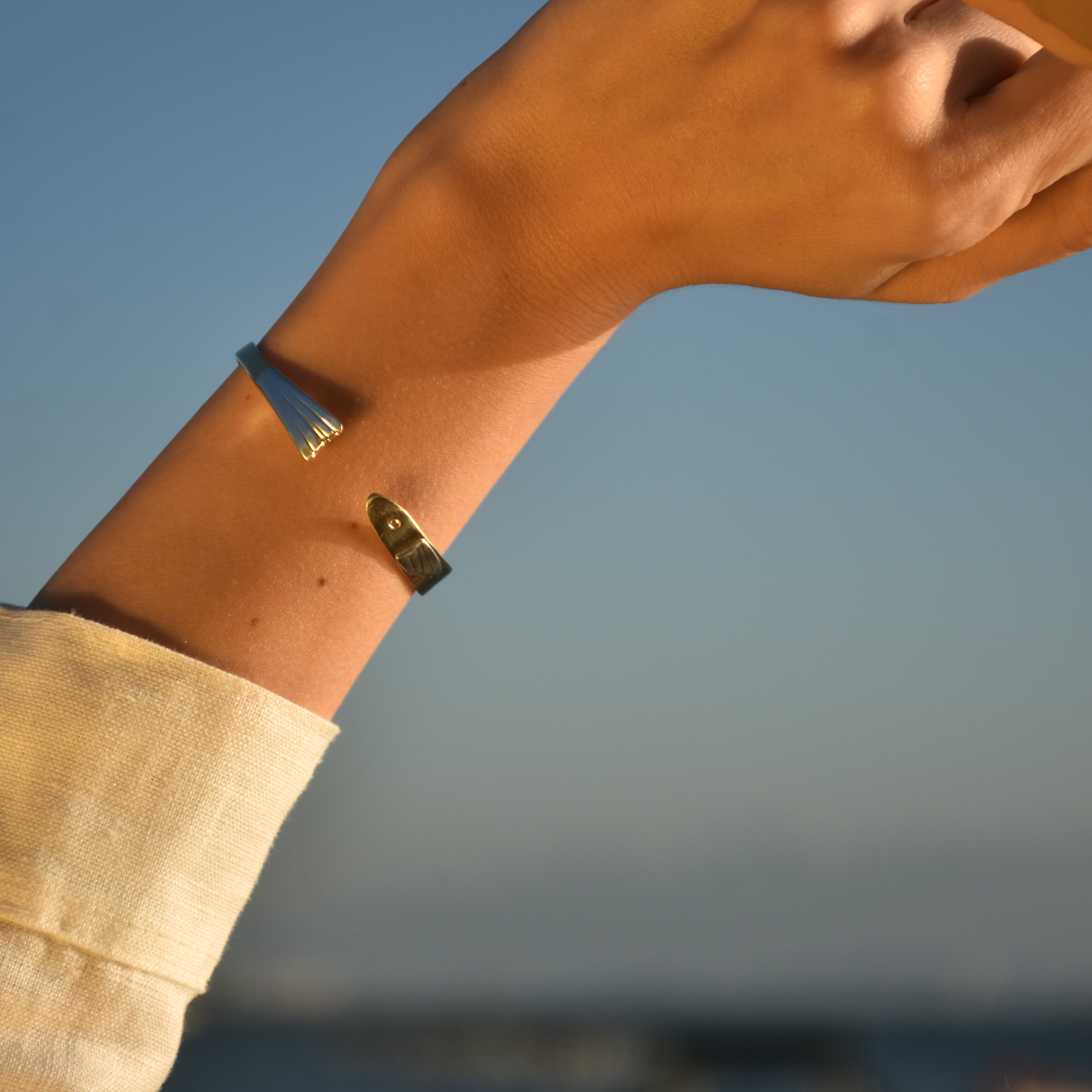 Bracelete Peixe