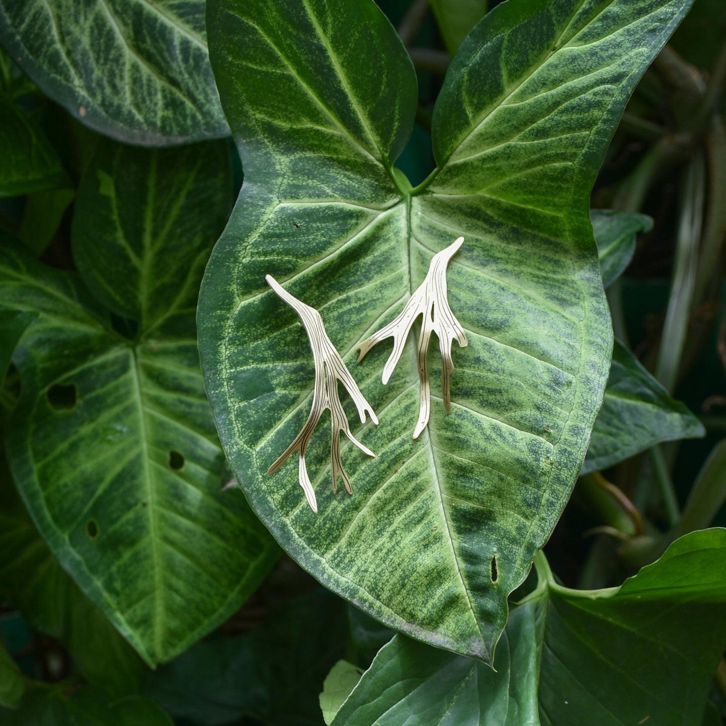 Brinco Chifre de Veado com pino e tarraxa