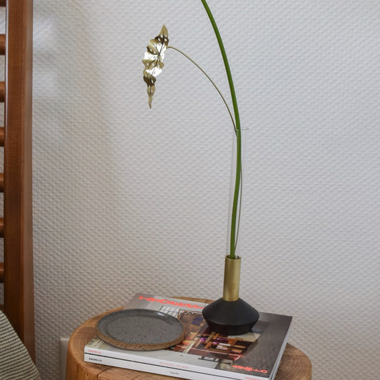 Folha de Vaso Begônia Maculata P