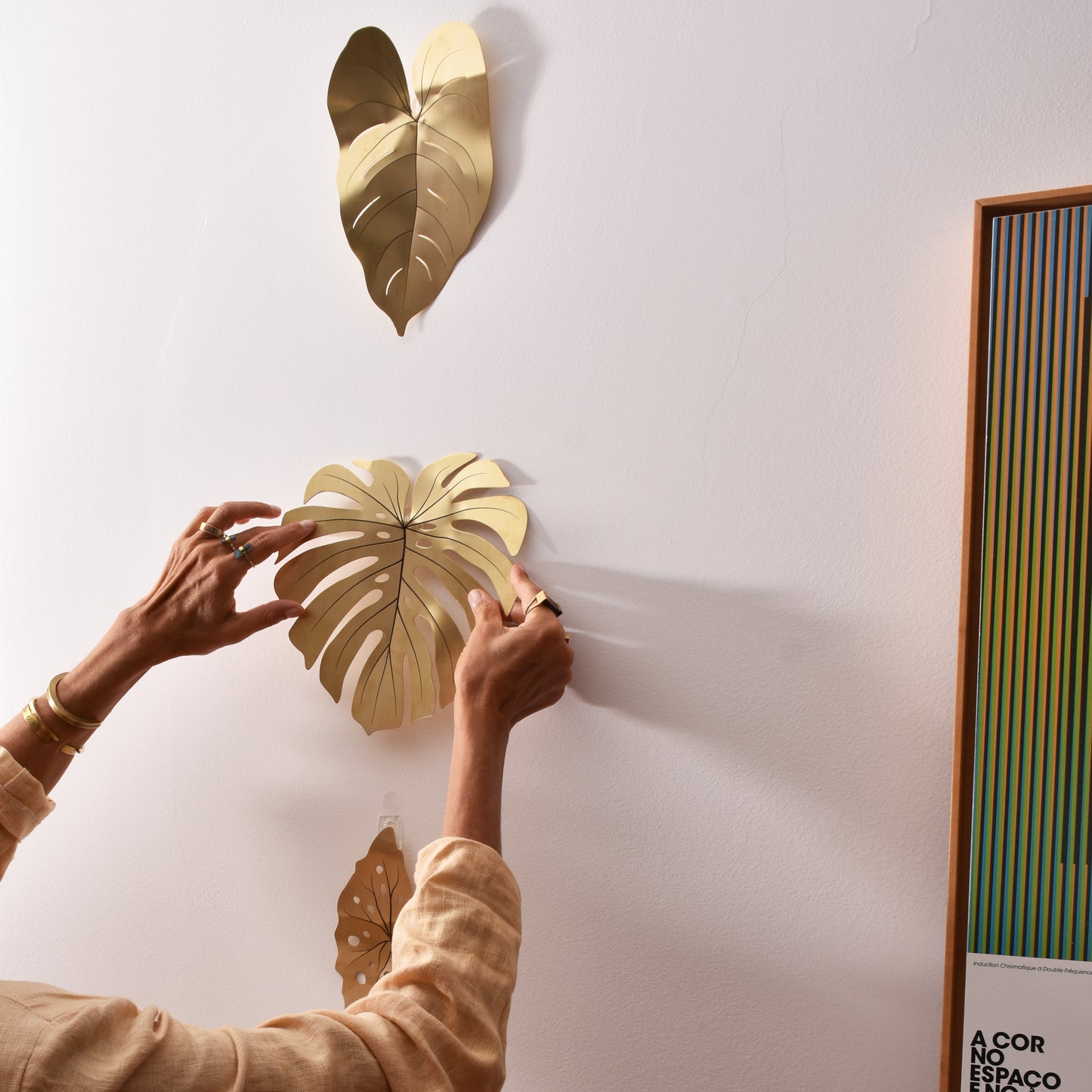 Folha de Parede Begônia Maculata M