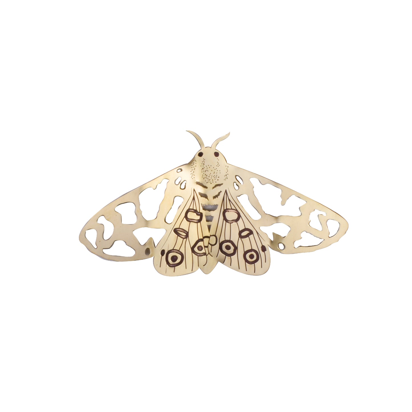 Inseto de Parede Mariposa Malhada