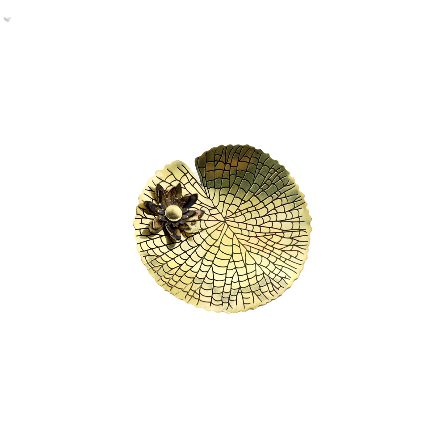 Broche Vitória Régia