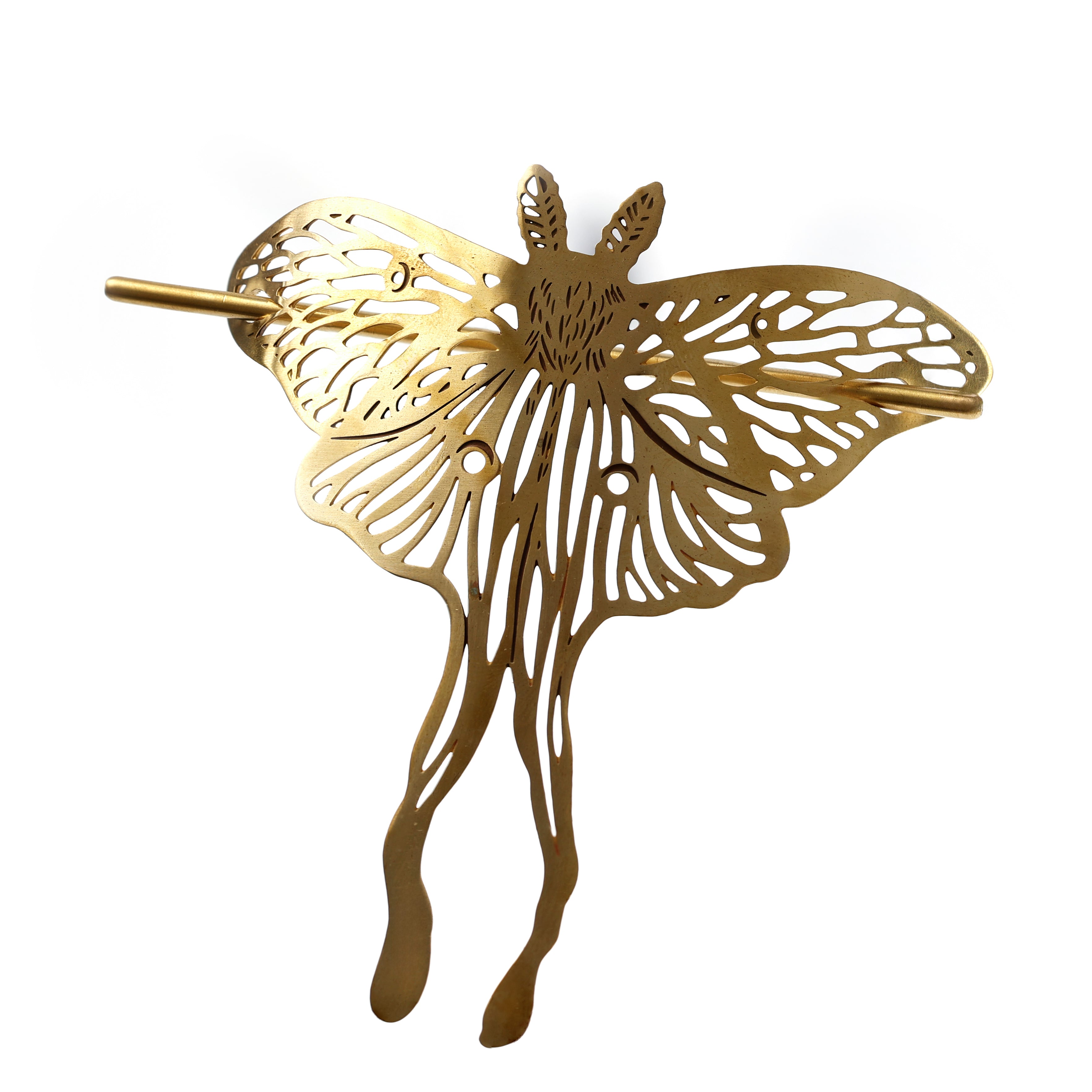 Mariposa de Cabelo