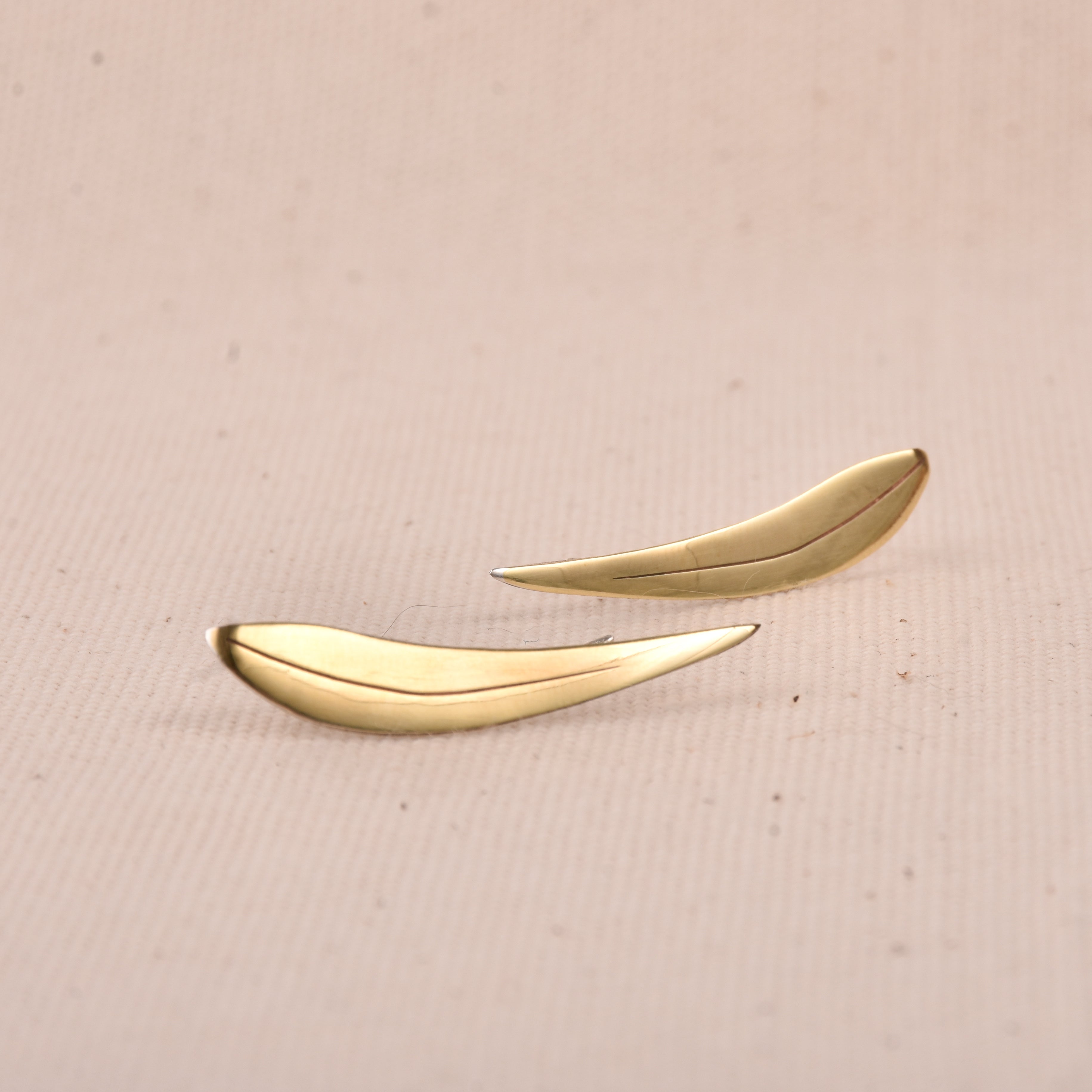 Brinco Eucalipto Earcuff